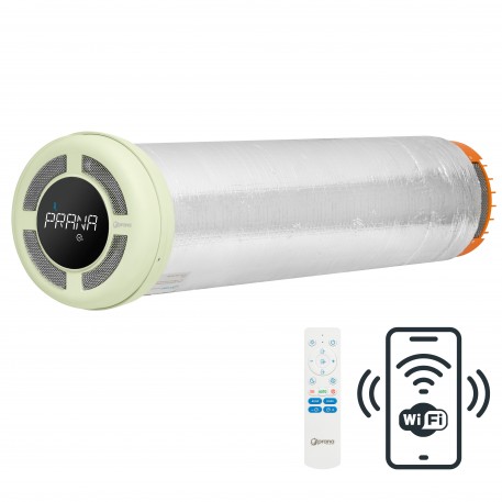 Prana 150 Standart custom